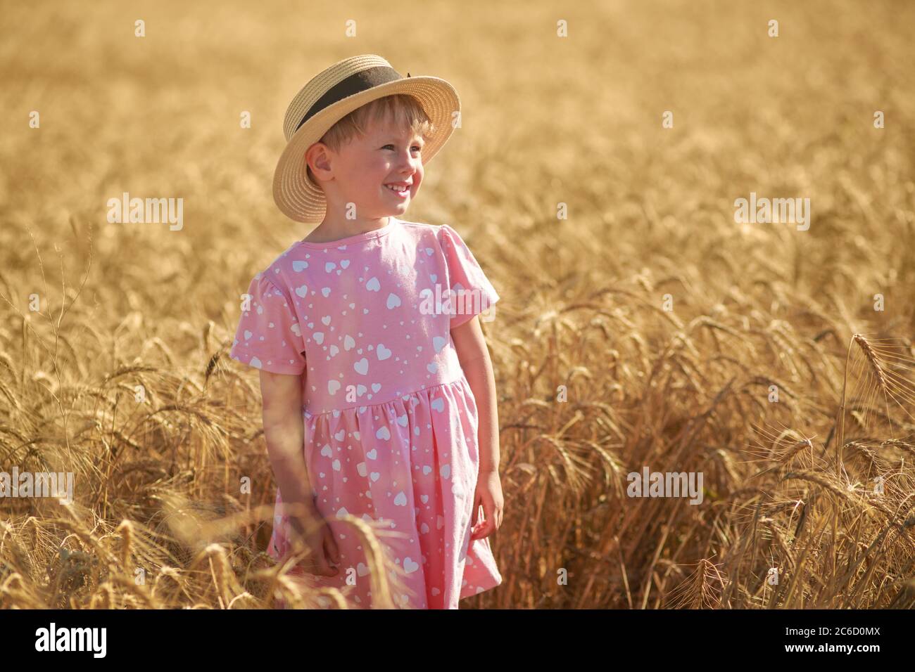 A cute little girl stands in a wheat field, in a rose dress with a hat ...