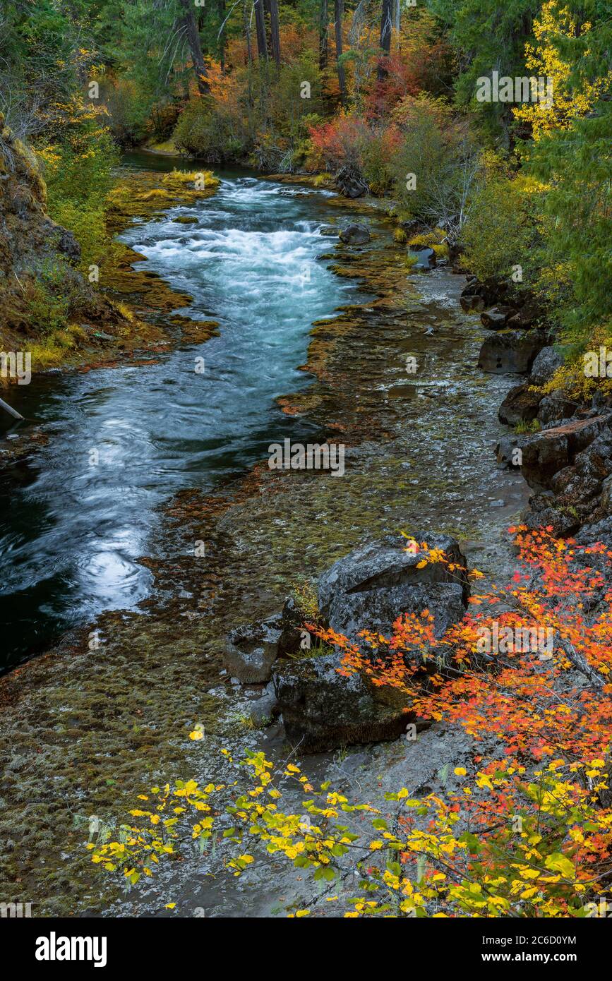 Upper Takelma Gorge, Rogue River National Wild and Scenic River, Rogue River National Forest, Oregon Stock Photo