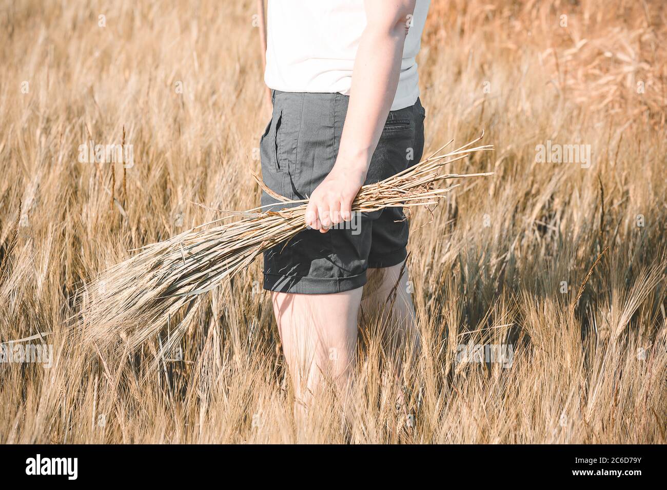 Page 2 Nature Aesthetics High Resolution Stock Photography And Images Alamy Page 2 Nature Aesthetics High Resolution Stock Photography And Images Alamy