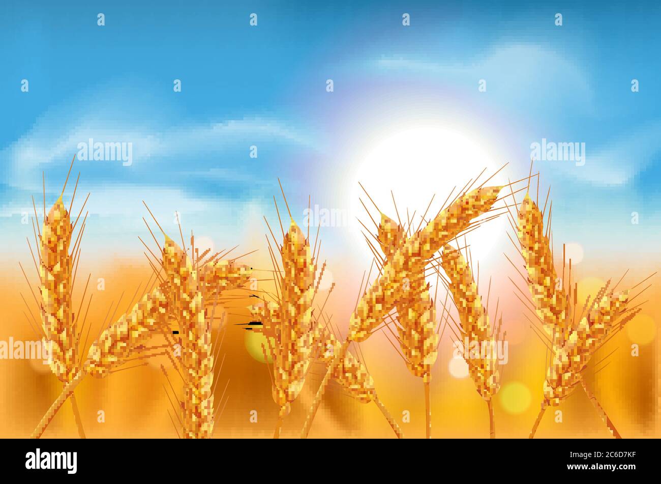 Ears of wheat in vector 3D realistic illustration. Ripe grain clipart for packaging design: bread, beer, kvass, pastries. Stock Vector