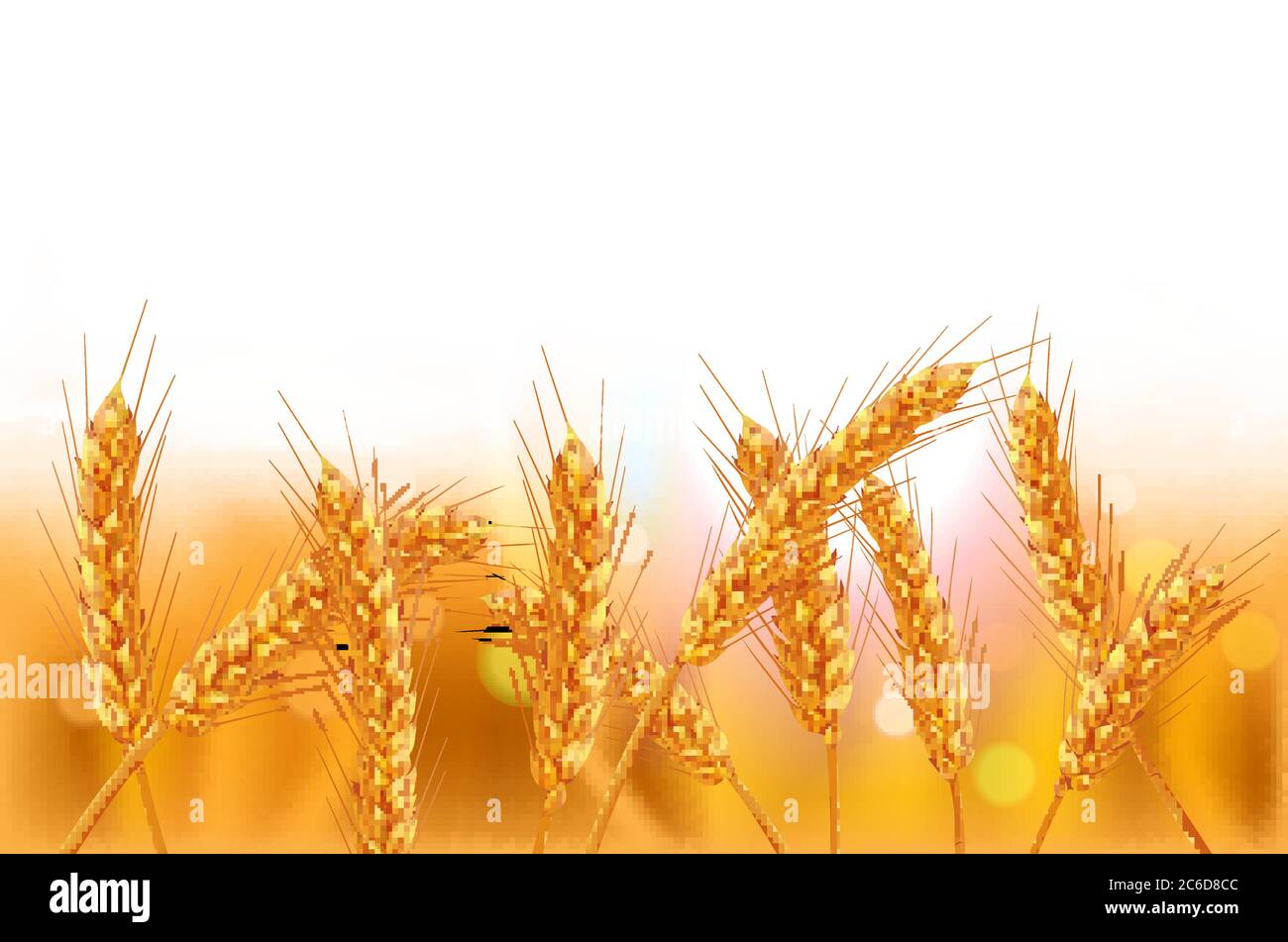 Ears of wheat in vector 3D realistic illustration. Ripe grain clipart for packaging design: bread, beer, kvass, pastries. Stock Vector