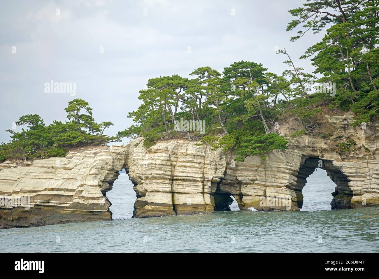 In der Bucht von Matsushima, Japanische Schwarz-Kiefer , Pinus thunbergii, In the Bay of Matsushima, Japanese black pine, Pinus thunbergii Stock Photo