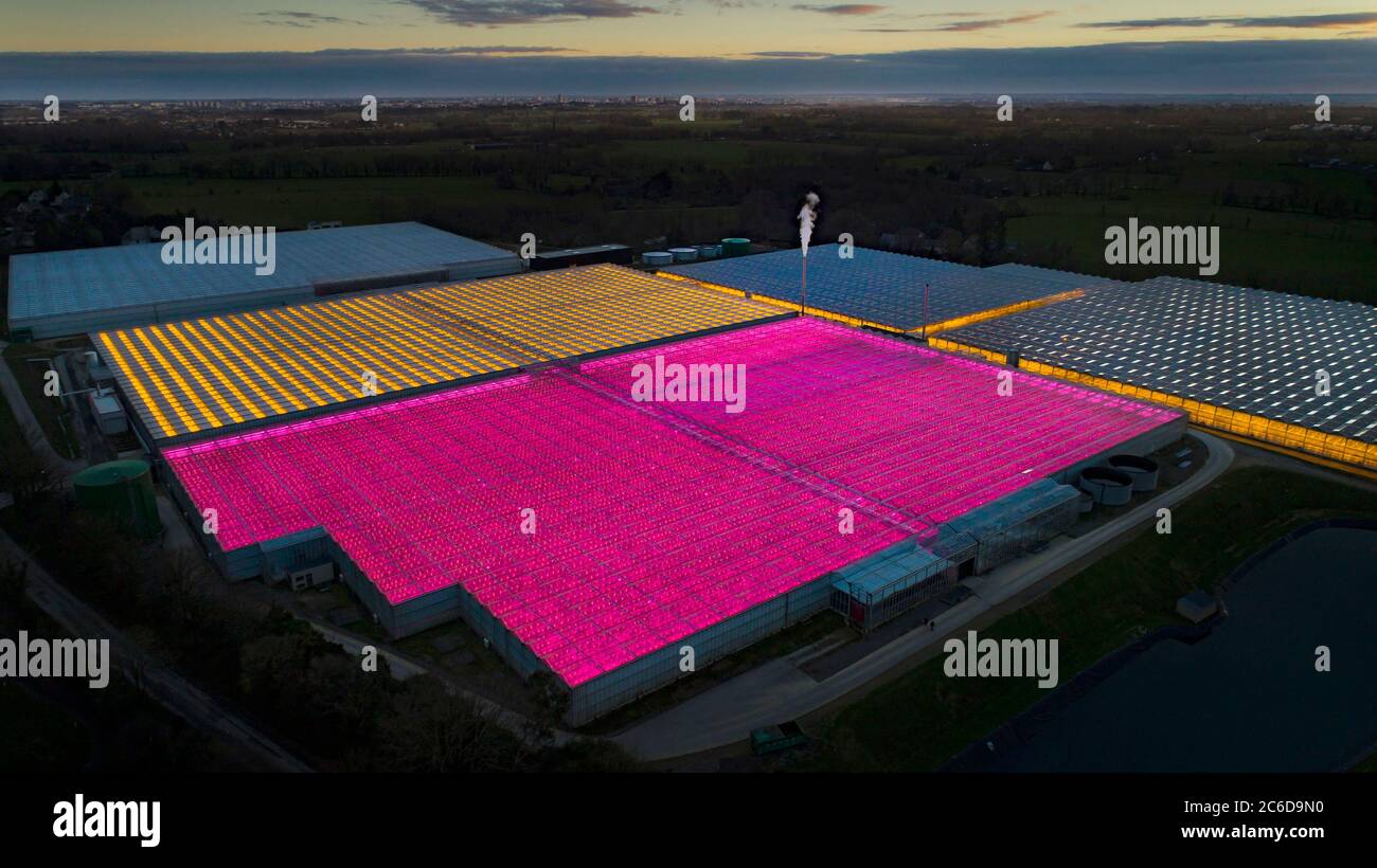 La Chapelle-des-Fougeretz (Brittany, north-western France): aerial view at night of the Tomwest tomato greenhouses, Jouno tomatoes, a 17-hectare site Stock Photo
