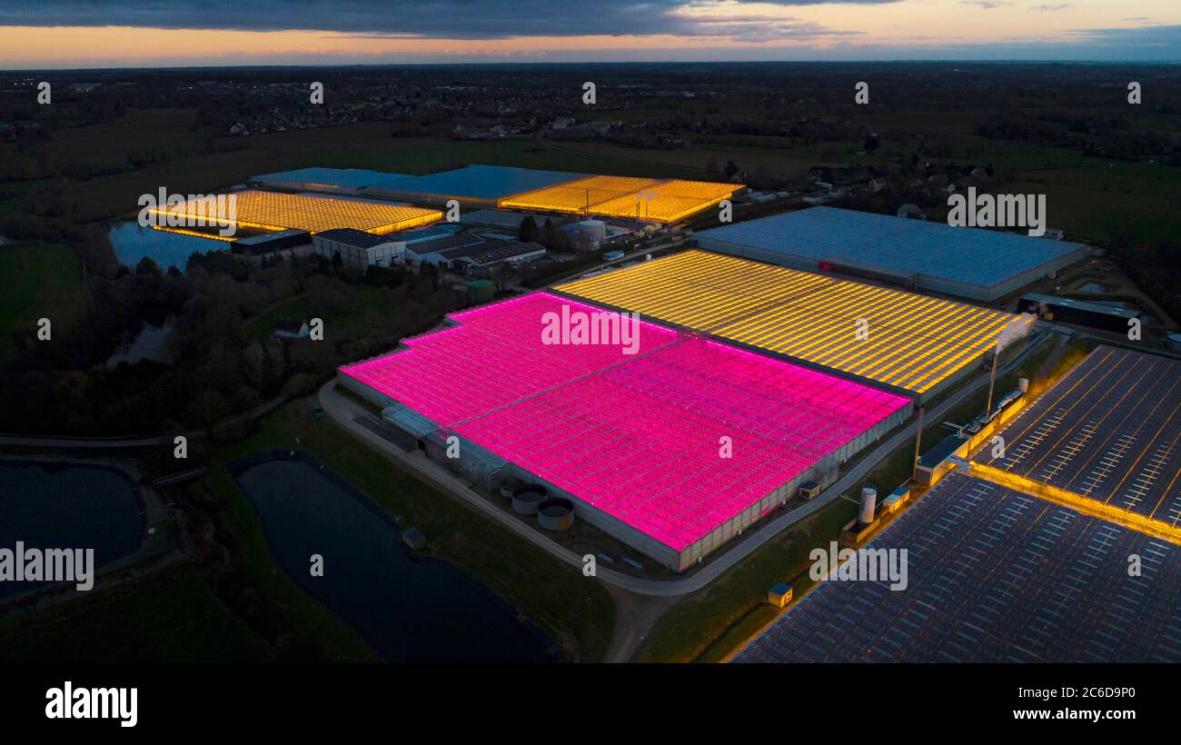 La Chapelle-des-Fougeretz (Brittany, north-western France): aerial view at night of the Tomwest tomato greenhouses, Jouno tomatoes, a 17-hectare site Stock Photo