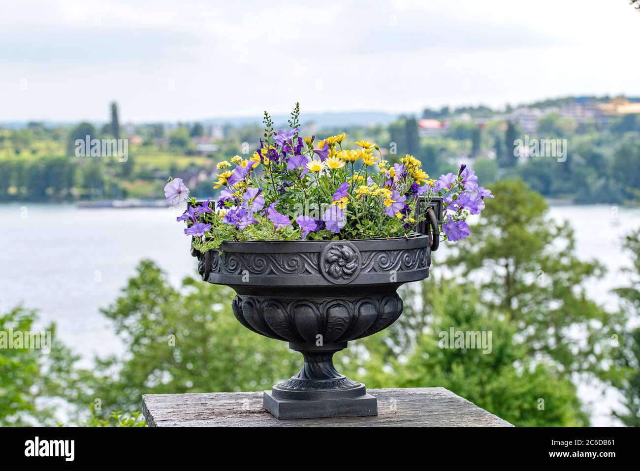 Bepflanzte schale hi-res stock - photography and images Alamy