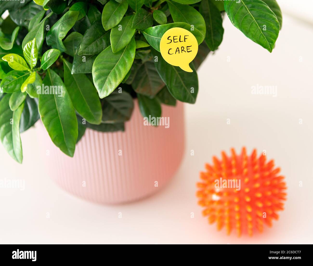 Self care written on yellow sticky note and pinned at home plant with