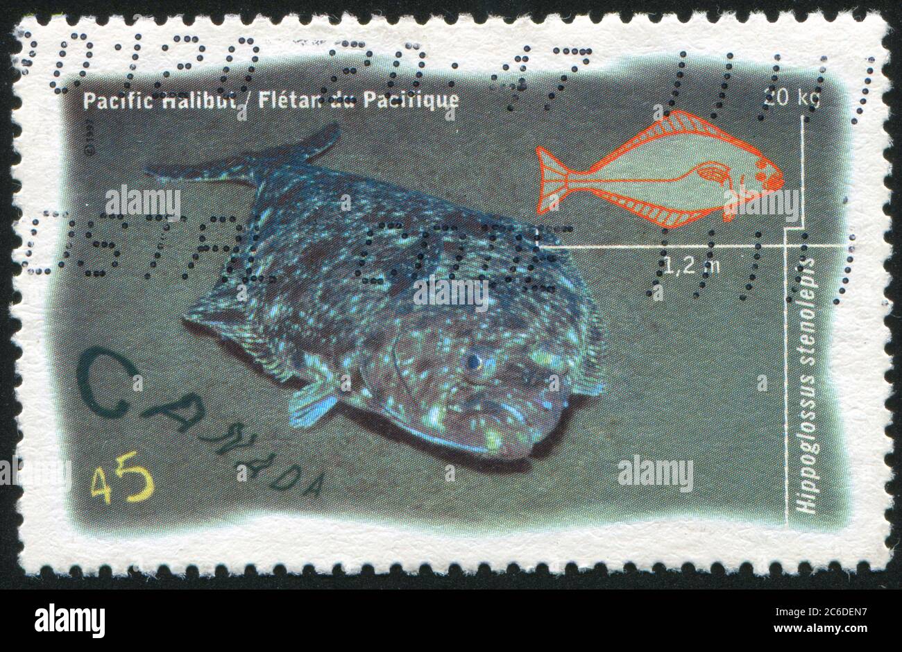 CANADA - CIRCA 1997: stamp printed by Canada, shows Salt Water Fish ...