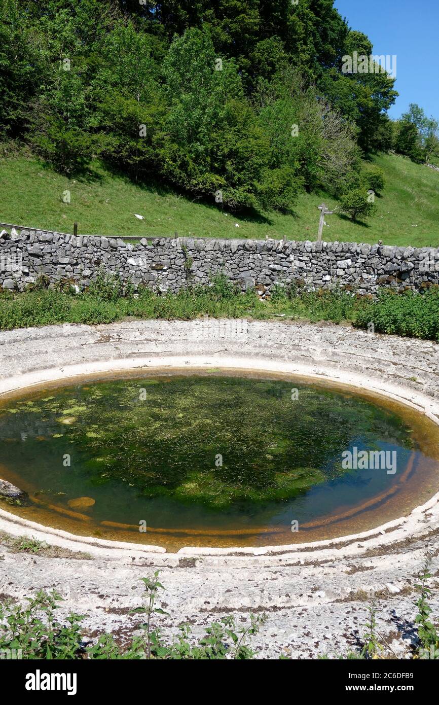 Circular or Round Concrete Lined Wildlife Pond or Pool, a form of Wildlife Habitat Management or Nature Conservation in June, UK Stock Photo