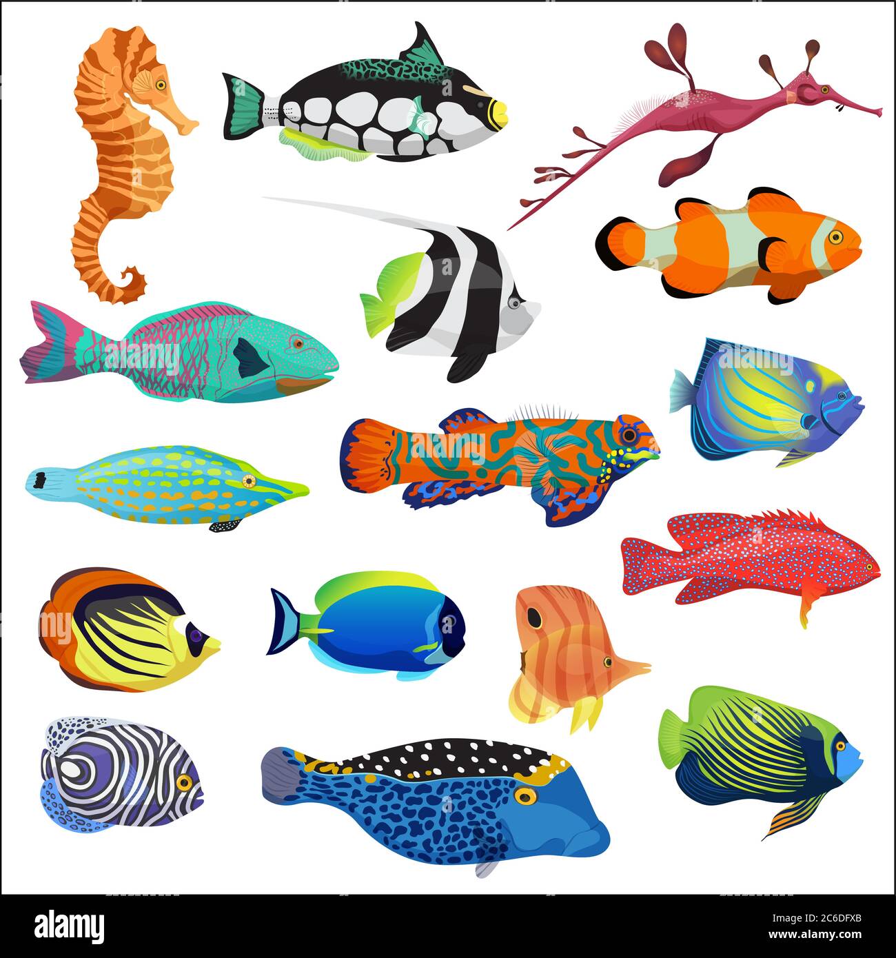 Exotic colorful tropical fish fishes collection set isolated Stock