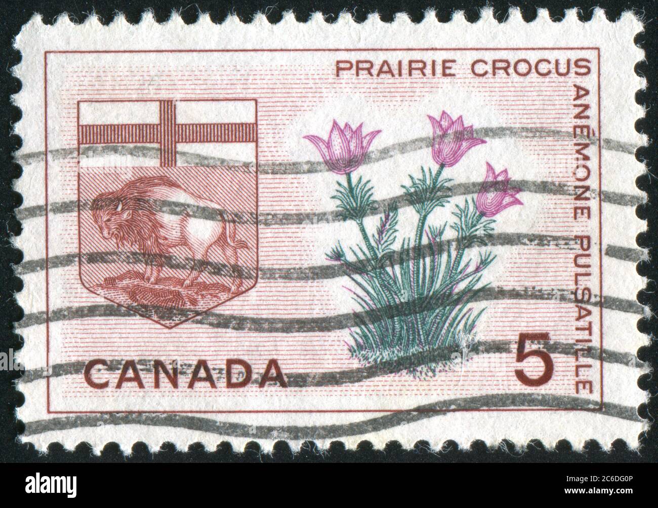 CANADA - CIRCA 1965: stamp printed by Canada, shows Prairie crocus and arms of Manitoba, circa 1965 Stock Photo