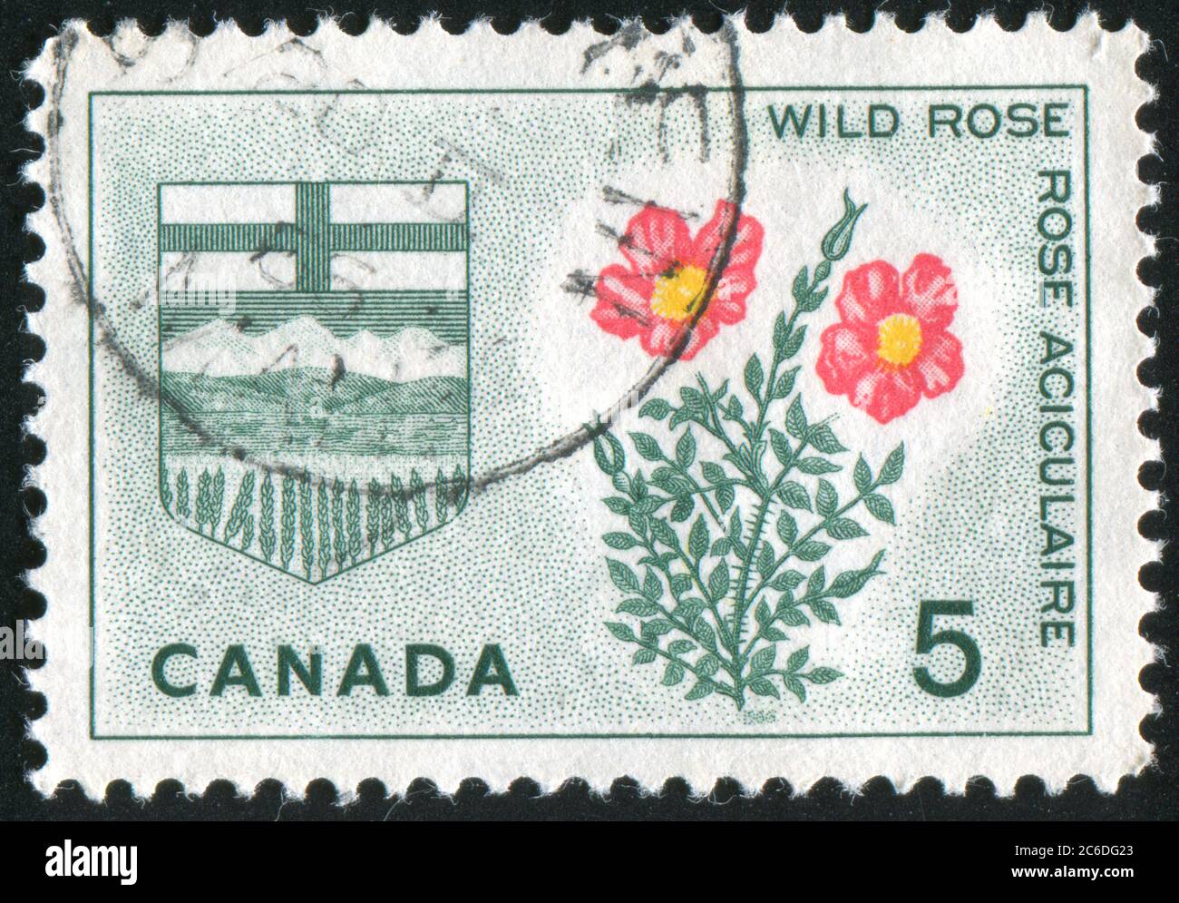 CANADA CIRCA 1965 stamp printed by Canada, shows Dogwood and arms of