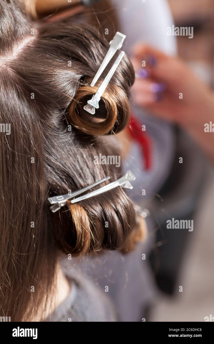 Making curls with hair clips Stock Photo Alamy