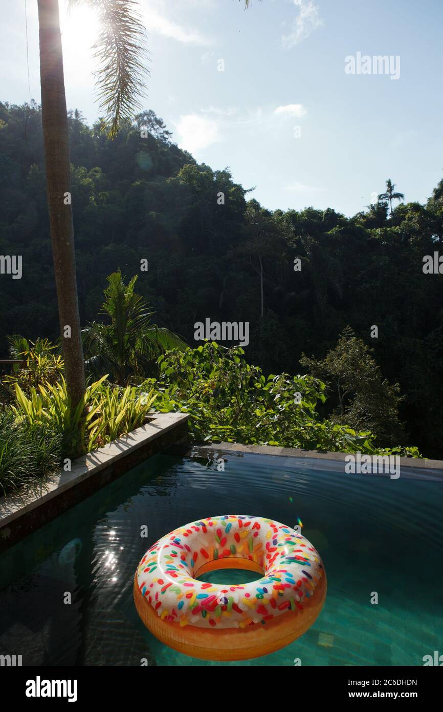 inflatable ring at the tropic jungle pool Stock Photo Alamy