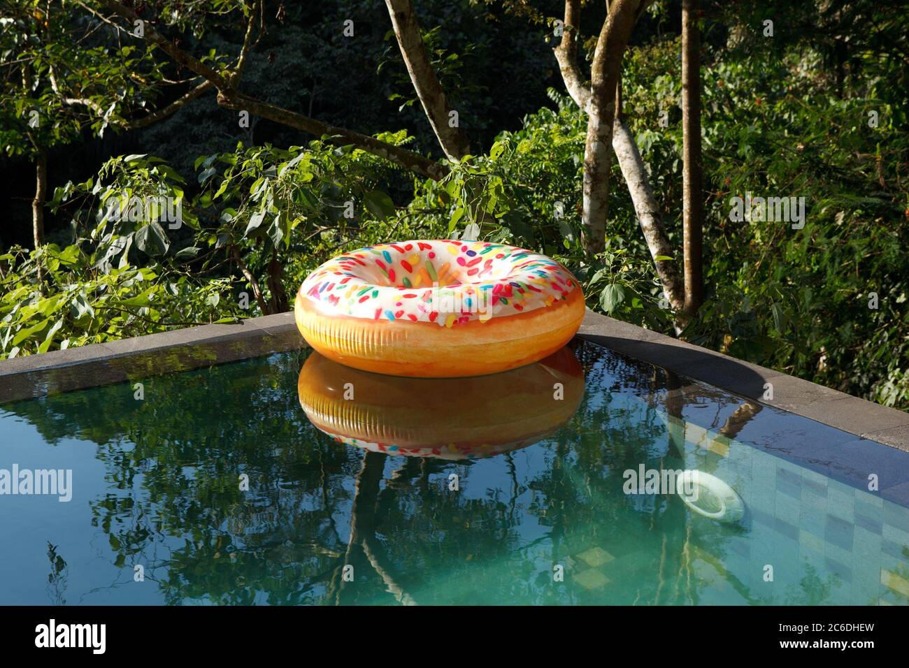 inflatable ring at the tropic jungle pool Stock Photo Alamy