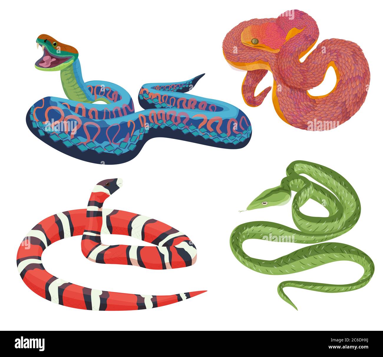 Vector colorful tropical exotic snakes isolated set collection Stock Vector
