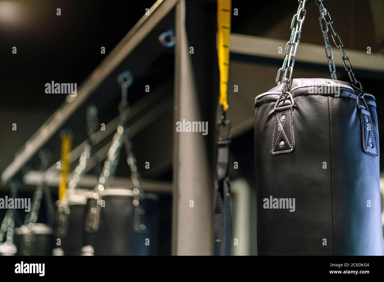 Punching bags in a gym Stock Photo Alamy