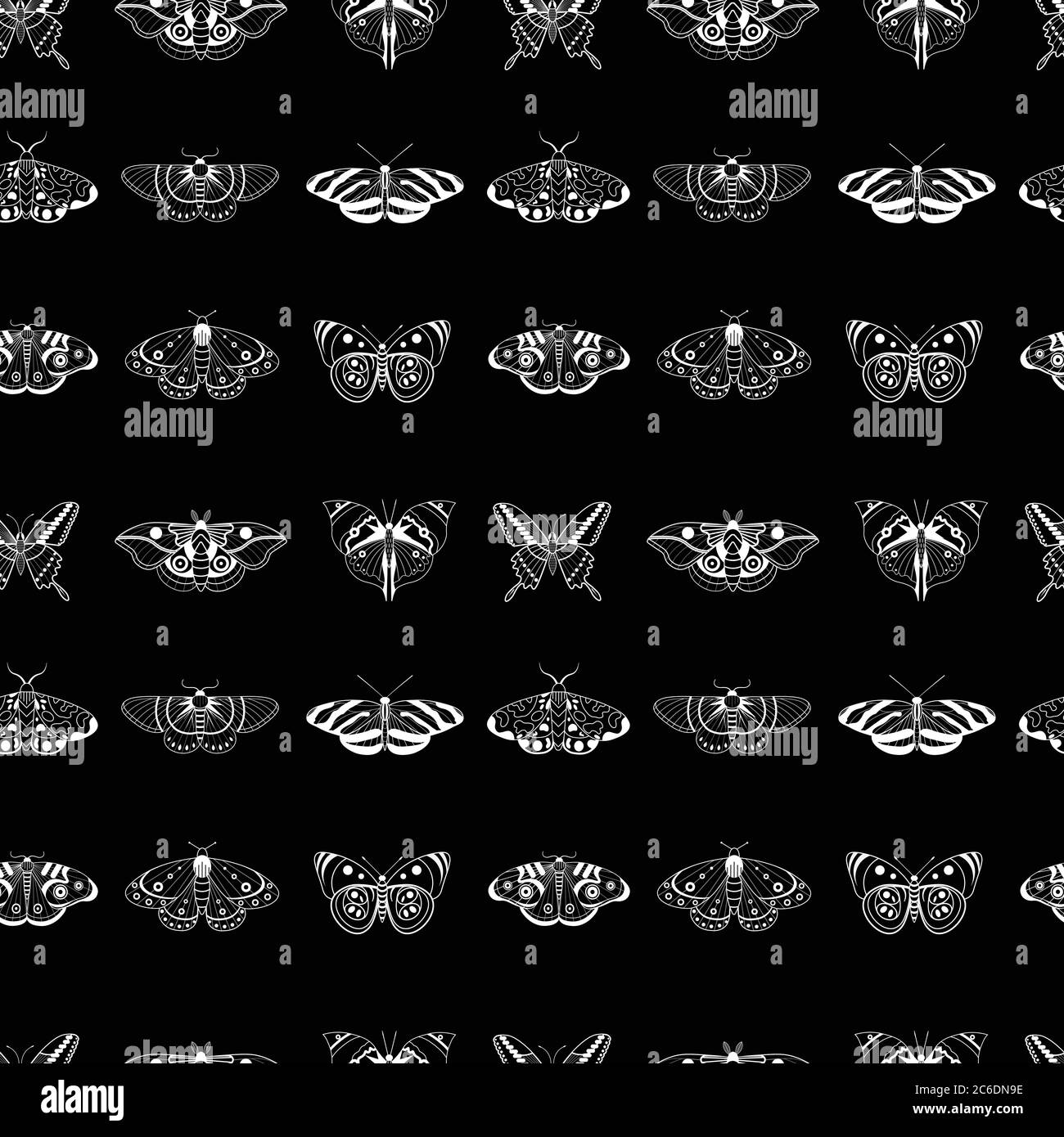 Exotic Moth and Tropical Butterfly Seamless Pattern Stock Vector Image ...