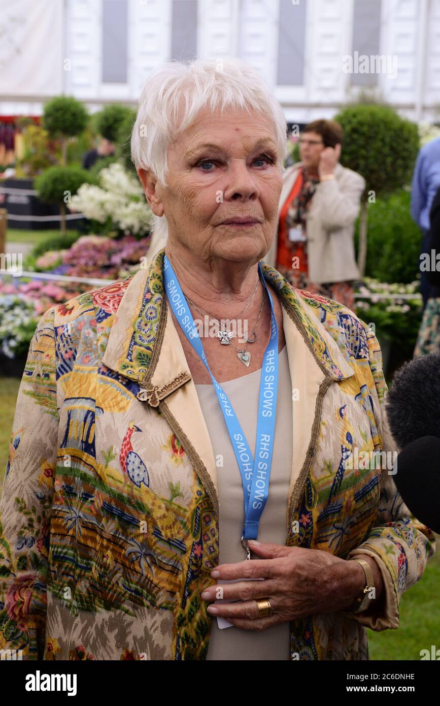 Dame judi dench chelsea flower show hires stock photography and images