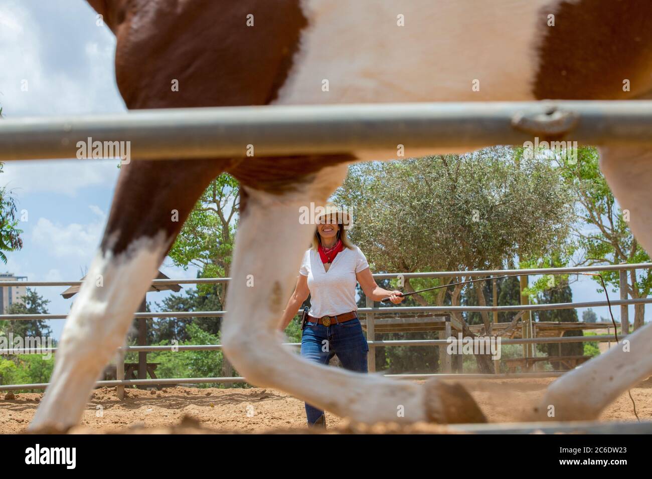 Female Horse breeder is caring for a brown and white (Pinto) horse. Photographed in Haniel [a moshav in central Israel. Located in the Sharon, Israel Stock Photo