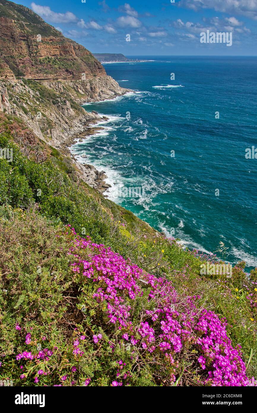 Rocky Coast, Walker Bay Nature Reserve,