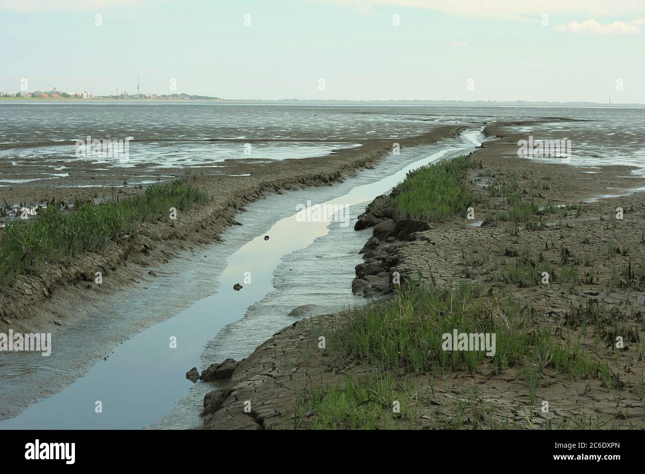 Tidal creek during low tide in the Wadden Sea near Cäciliengroden, Jadebusen, Germany. Stock Photo