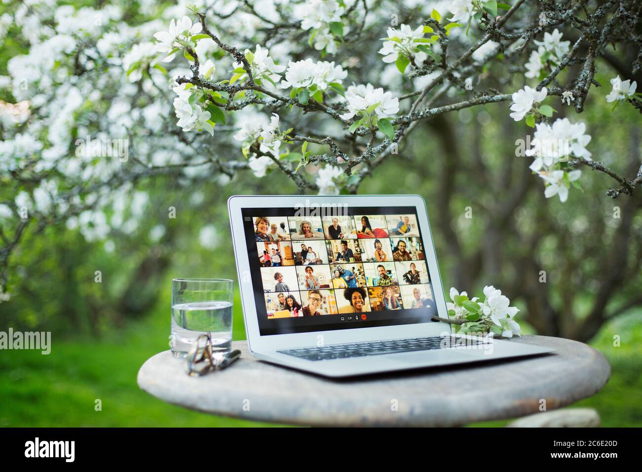 Video chat on screen in garden Stock Photo