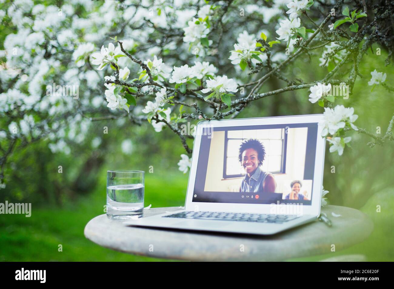 Colleagues video chatting on laptop screen in garden Stock Photo