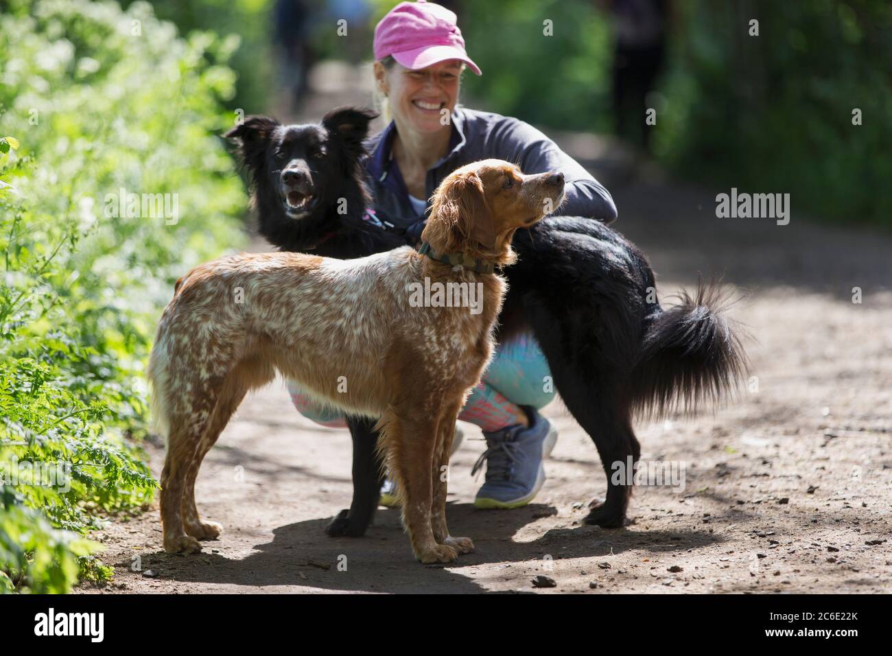 Happy woman with dogs on hiking trail Stock Photo