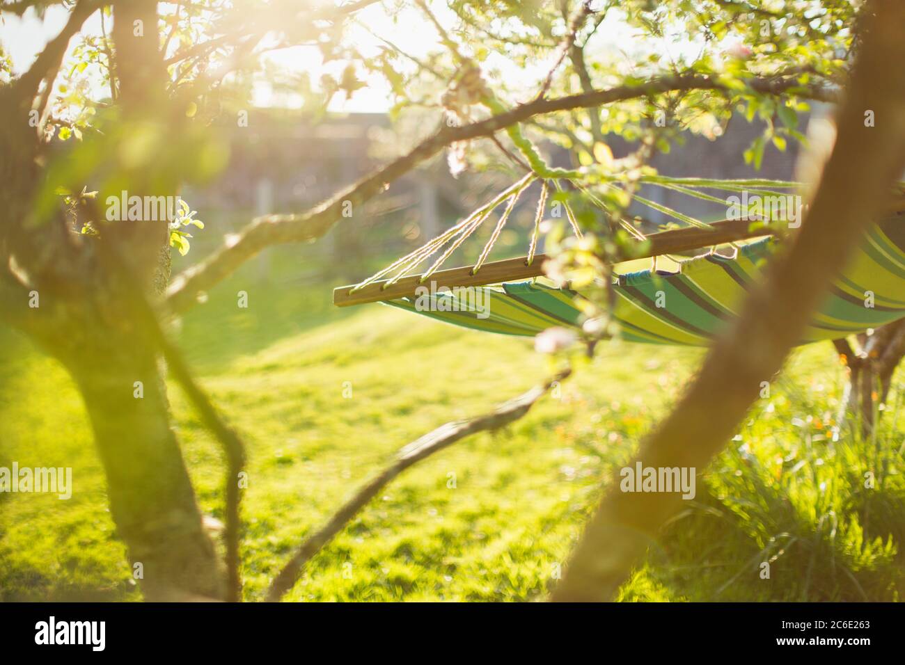 Hammock hanging in sunny tranquil garden Stock Photo