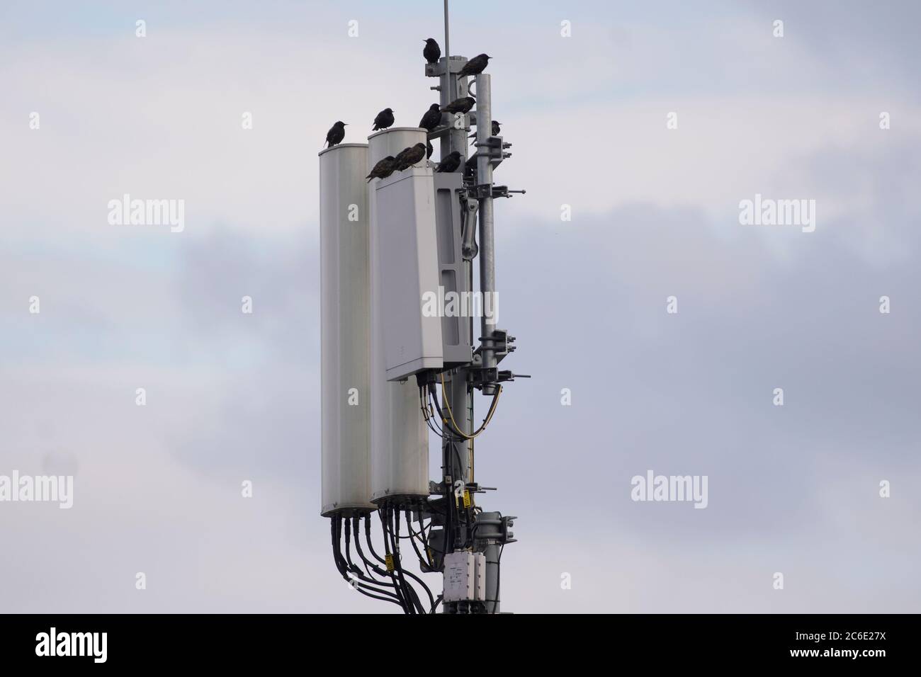 A cellular base station is seen on a building  rooftop in central Warsaw, Poland on July 8, 2020. Stock Photo