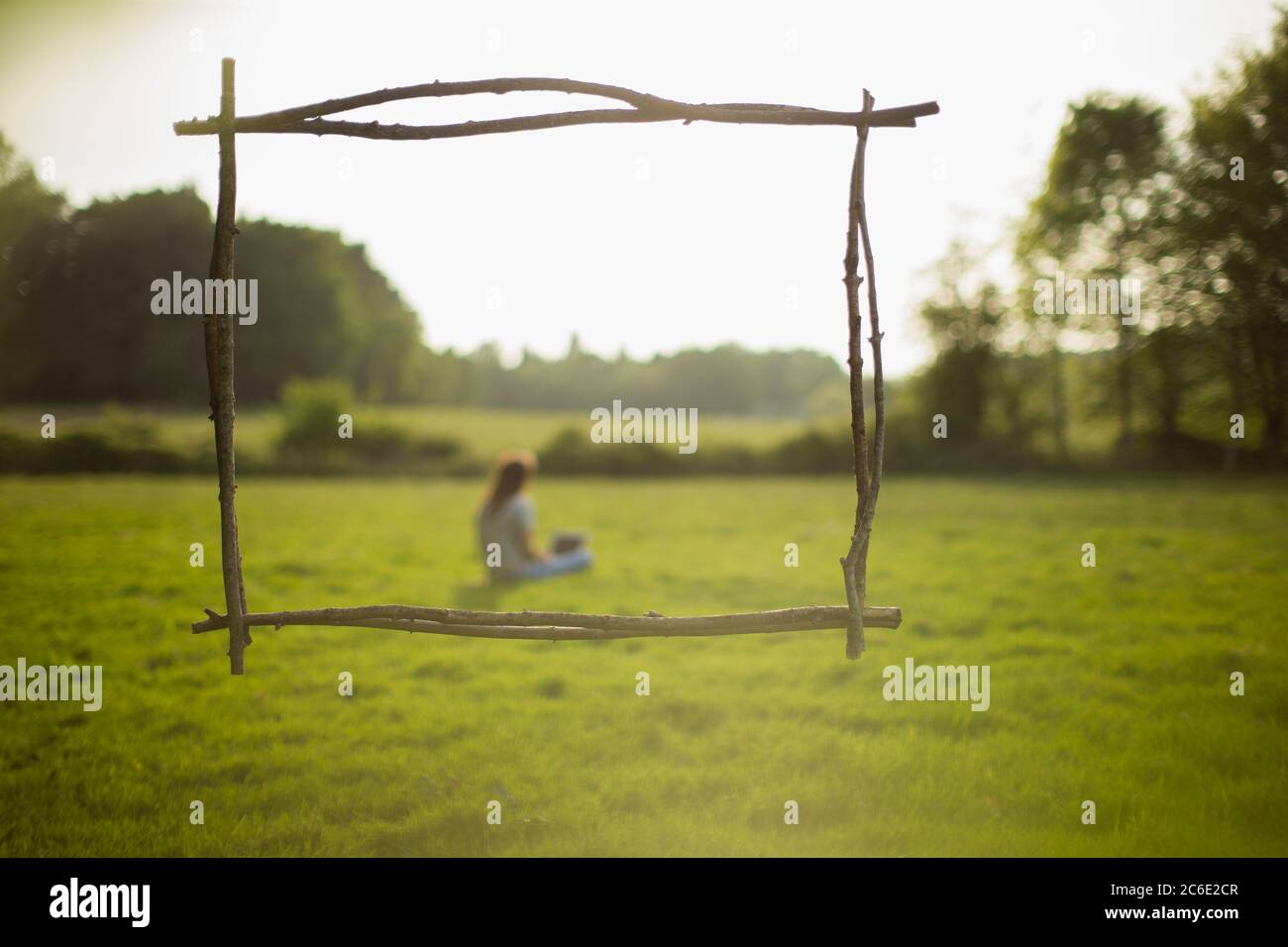 Branch frame over woman using laptop in idyllic grass field Stock Photo