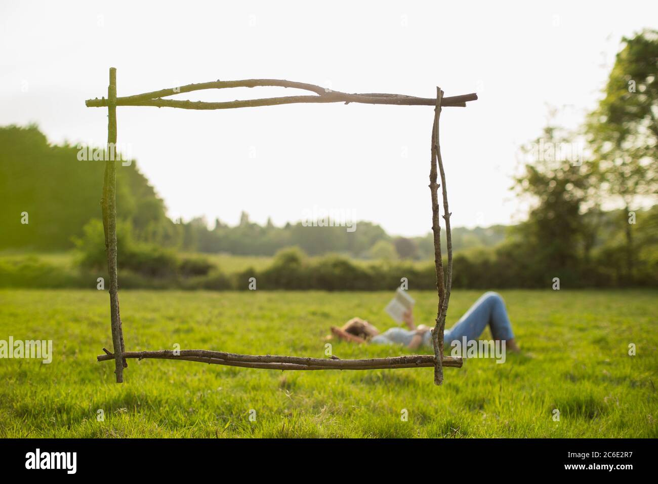 Branch frame over woman reading book in idyllic grass field Stock Photo