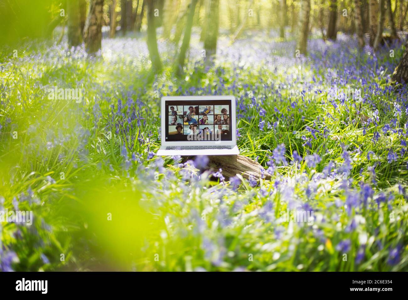 Friends video chatting on laptop screen in sunny bluebell woods Stock Photo