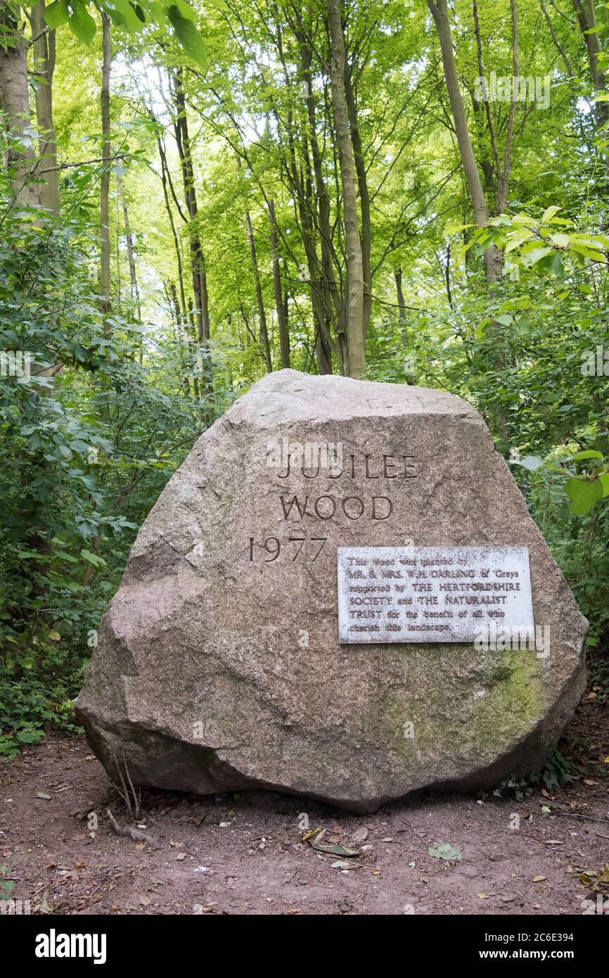 The Jubilee Wood Stone, Therfield Heath, Royston, Hertfordshire. Stock Photo