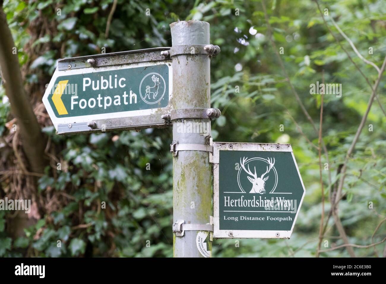Public Footpath and Hertforshire Way sign, Therfield Heath, Royston, Hertfordshire. Stock Photo
