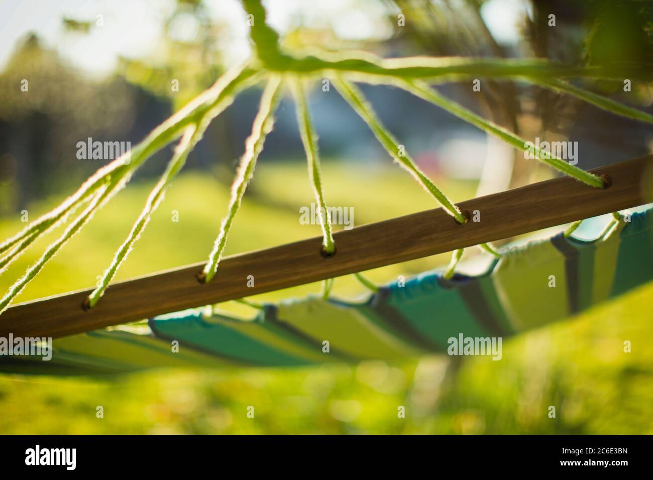 Close up hammock in sunny garden Stock Photo