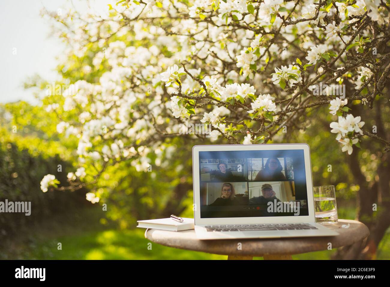 Friends video chatting on laptop screen in sunny garden Stock Photo