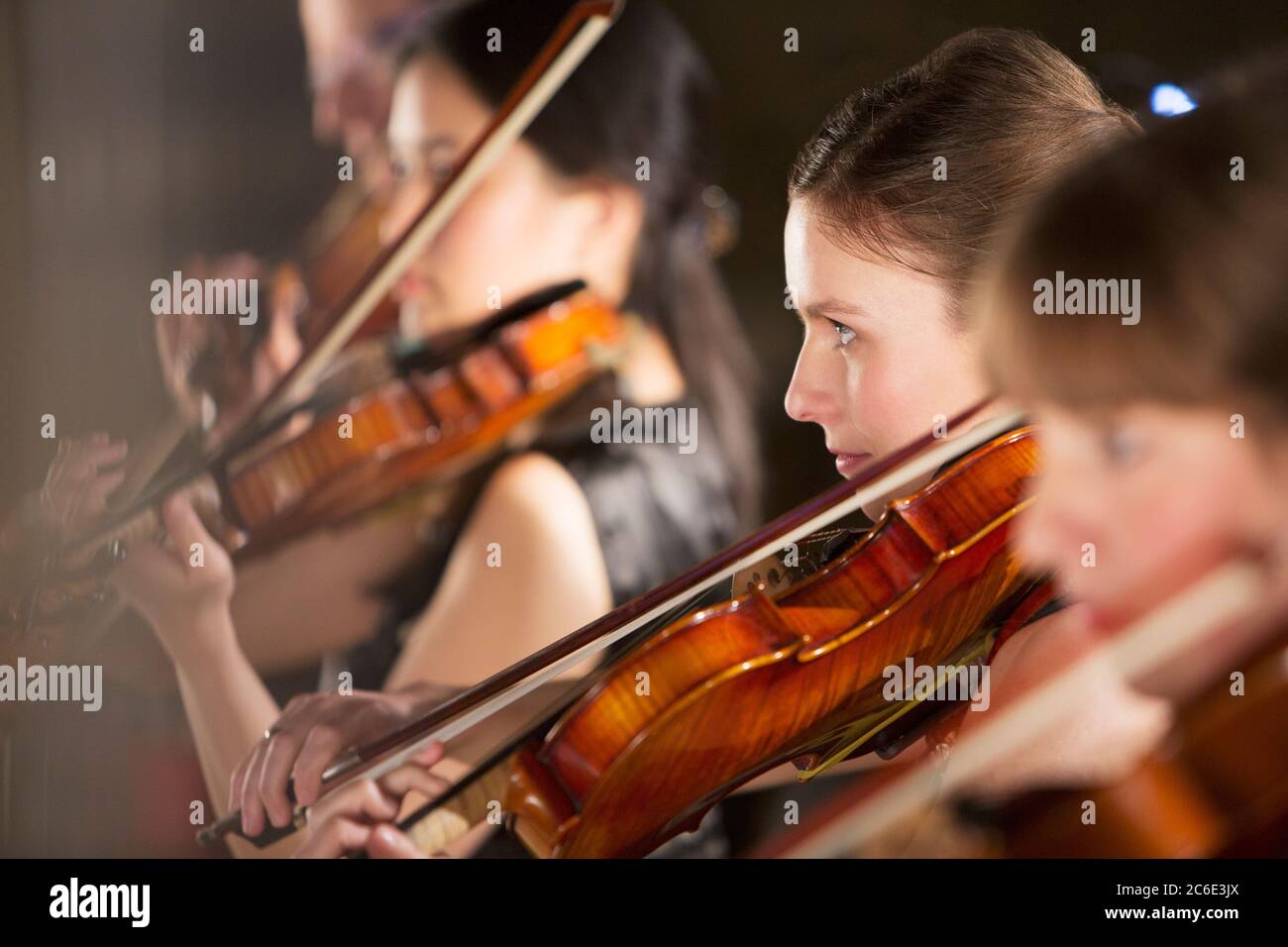 Violinists performing Stock Photo