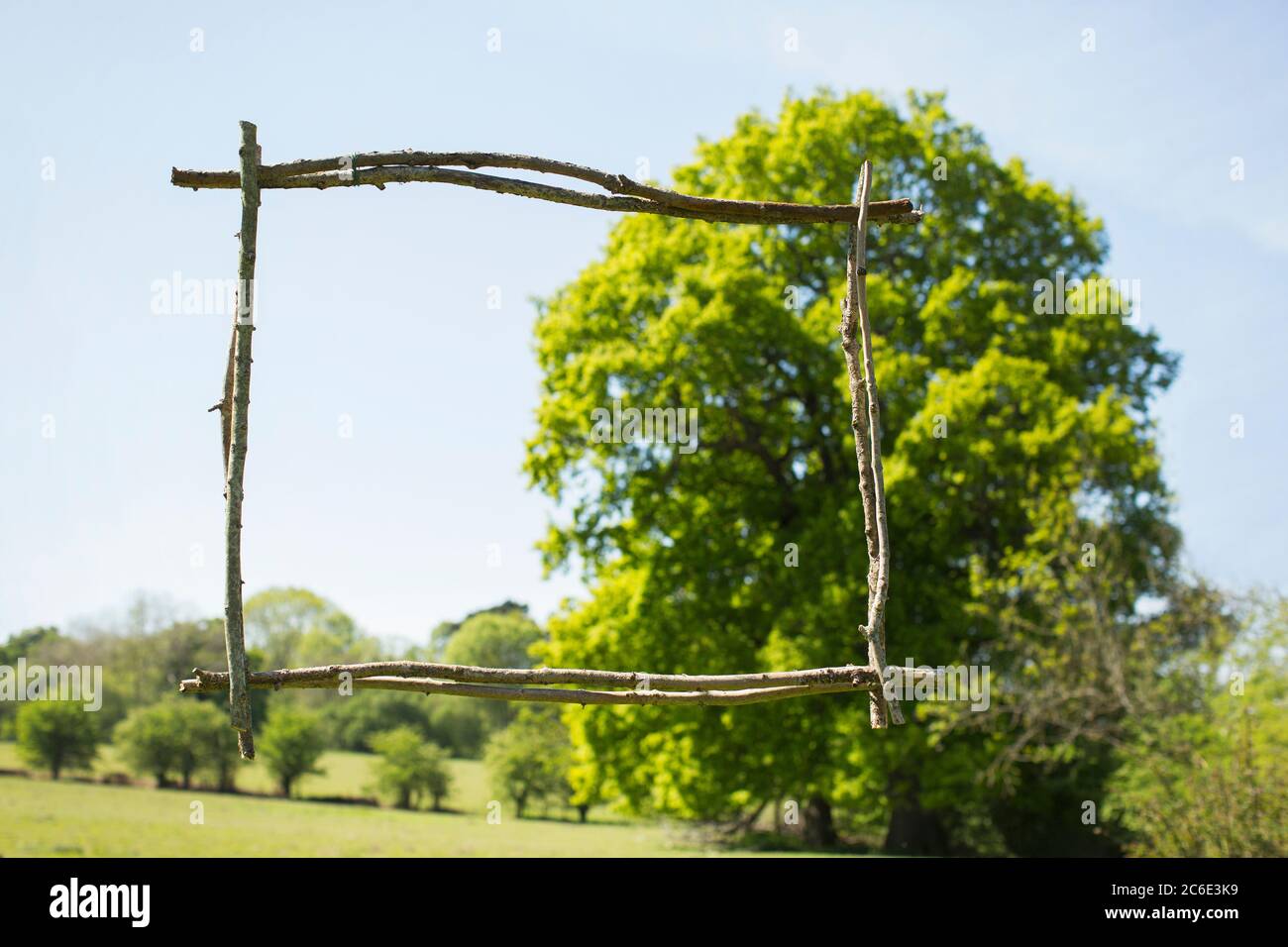 Wooden stick frame over sunny green tree and park Stock Photo