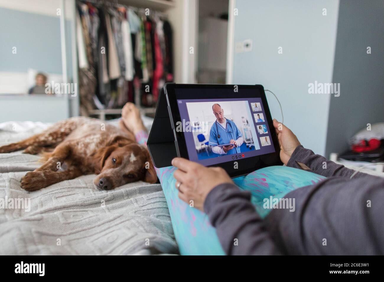 Woman with digital tablet video chatting with doctor on bed with dog Stock Photo