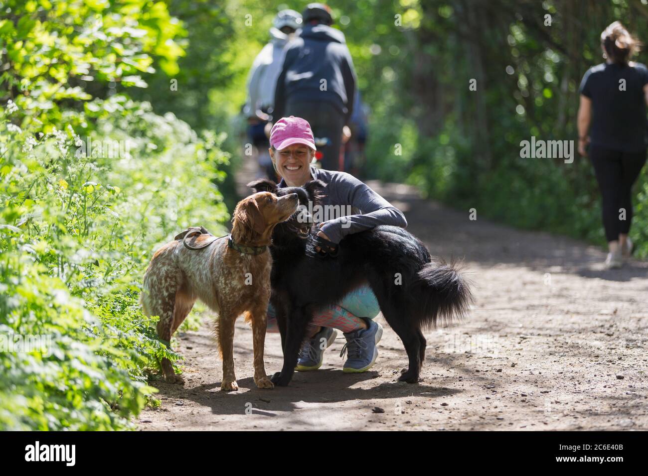 Happy woman hiking on sunny trail with dogs Stock Photo