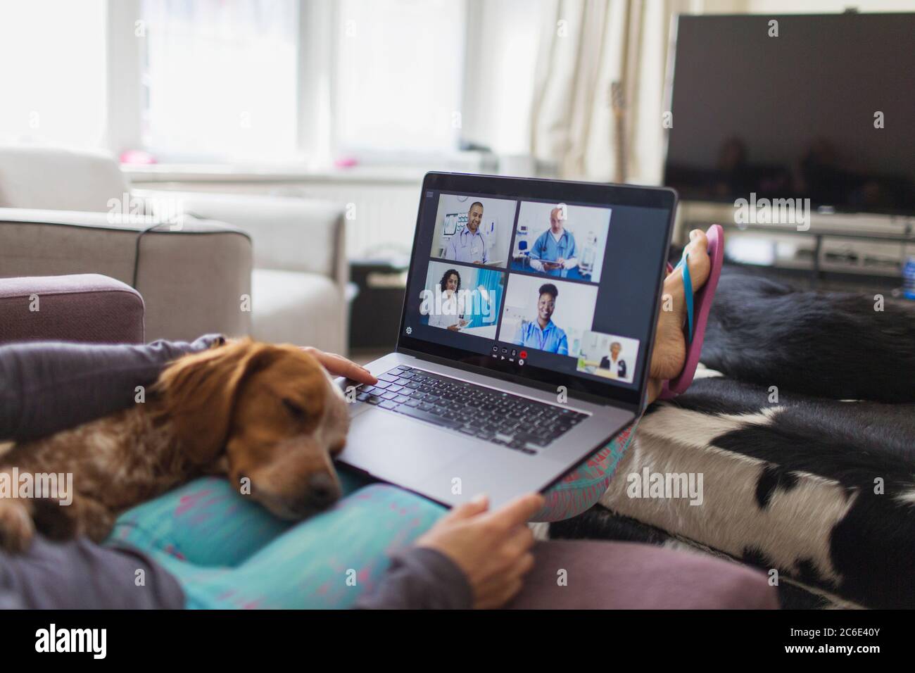 Dog sleeping on woman with laptop video chatting with doctors Stock Photo