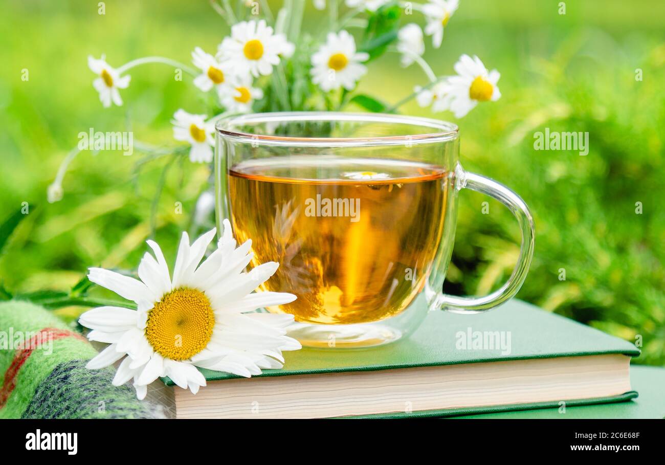 Tea. Glass cup of chamomile herbal tea with chamomile flower on books ...