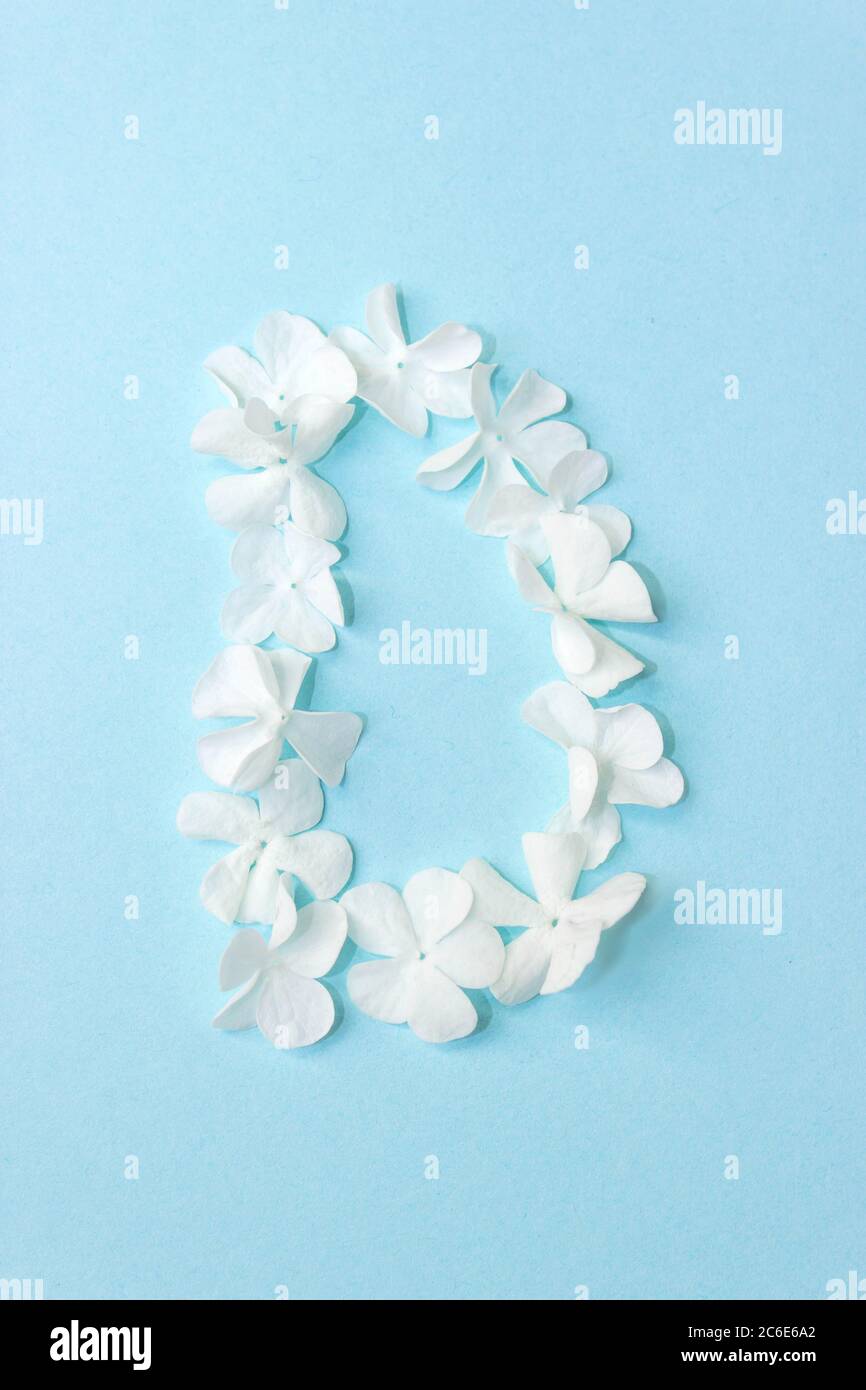 Flower Alphabet - D. Letter made from live flowers on light blue background Stock Photo