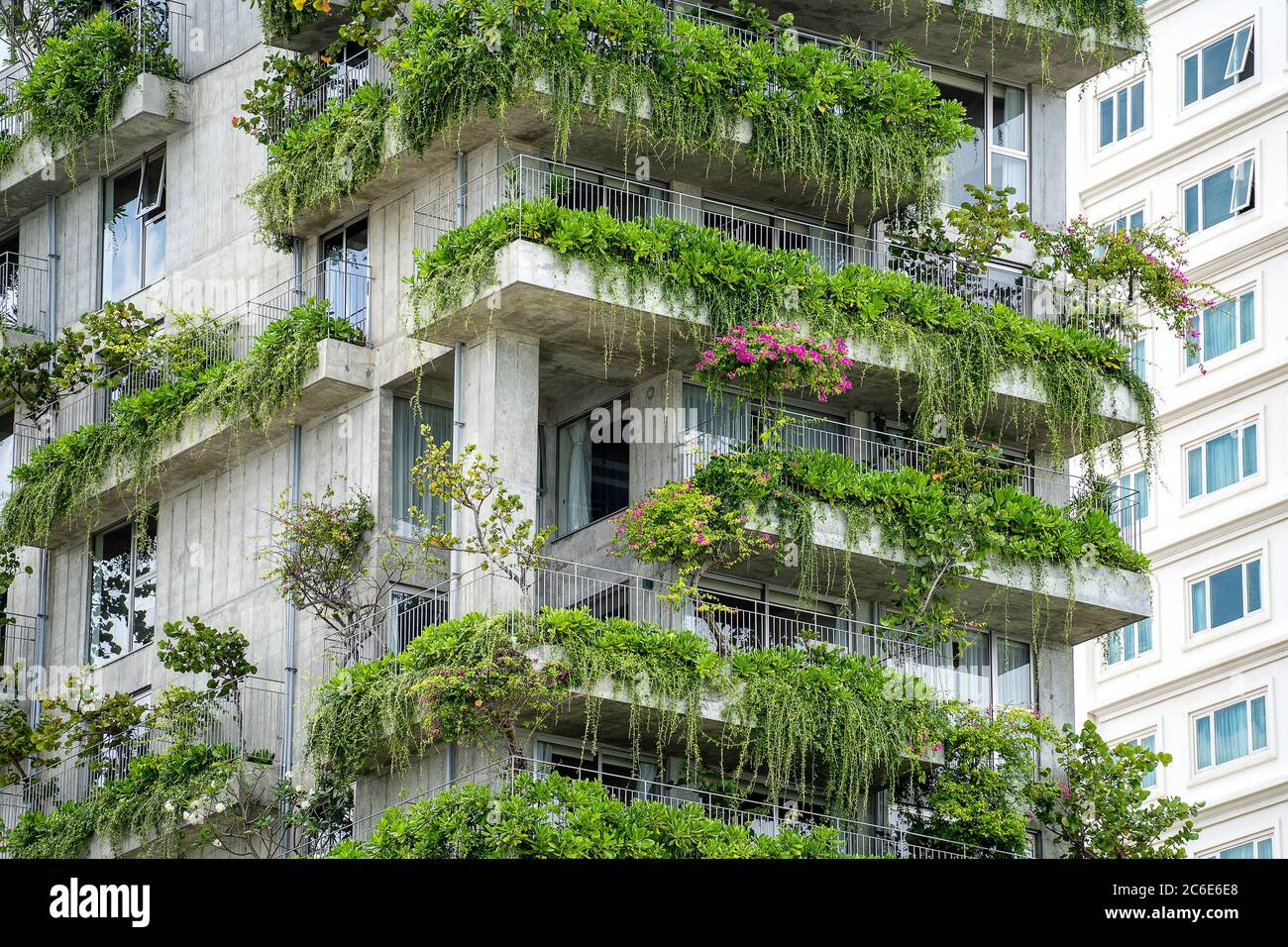 Ecological buildings facade with green plants and flowers on the stone wall of the facade of the house on the street of Danang city in Vietnam Stock Photo