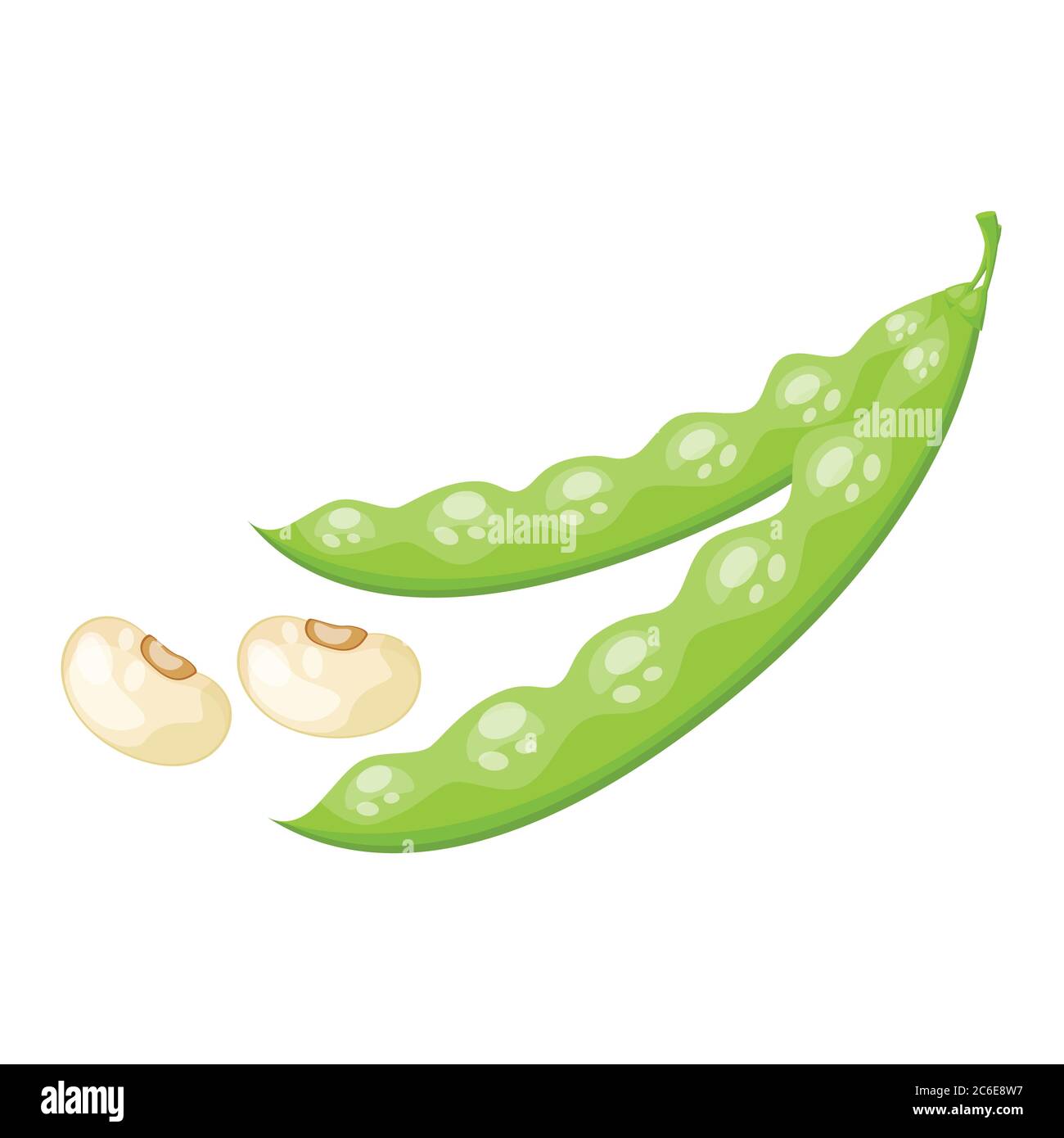 Cartoon fresh organic green beans icon. vector illustration Stock Vector  Image & Art - Alamy