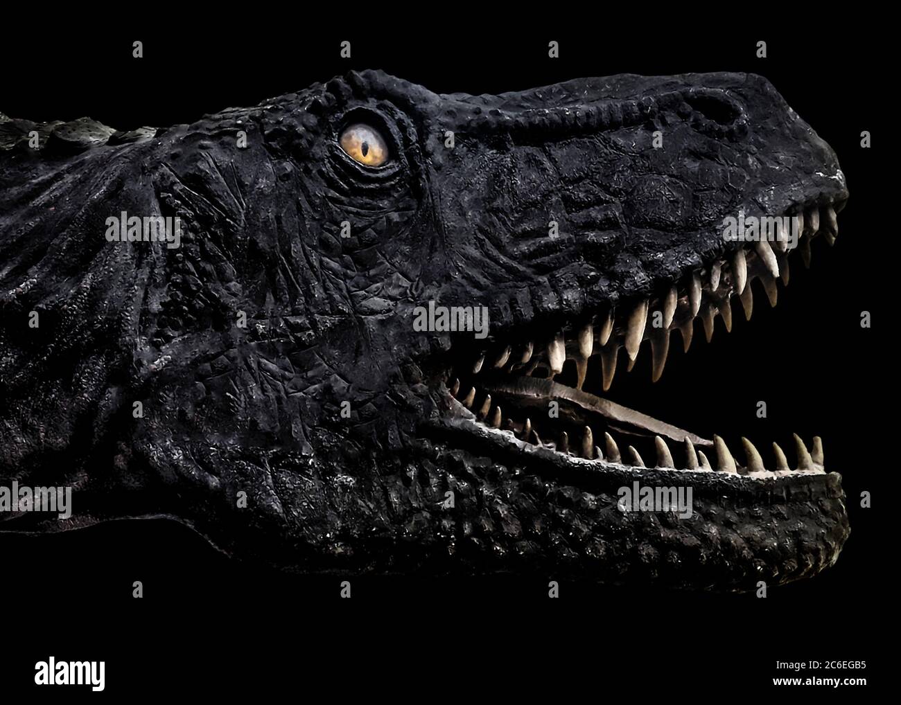 Trex dinosaur head with mouth open isolated over black background Stock