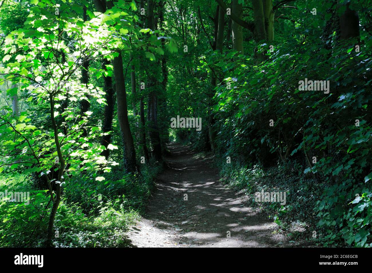 Shining cliff hires stock photography and images Alamy