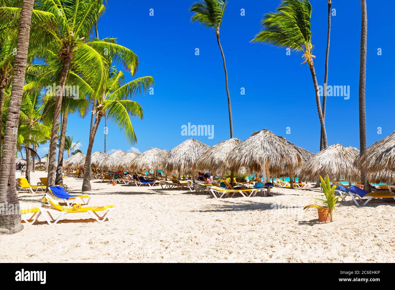 Vibrant Newest Resorts In Punta Cana Capture for Mobile Vibrant Newest Resorts In Punta Cana Capture for Mobile