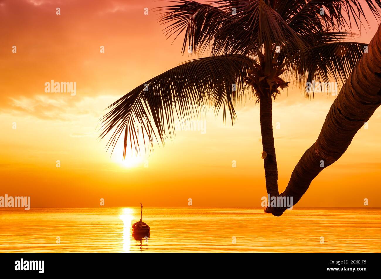 Coconut palm trees against colorful sunset. Dark silhouettes of palm trees and beautiful cloudy sky at tropical island. Stock Photo